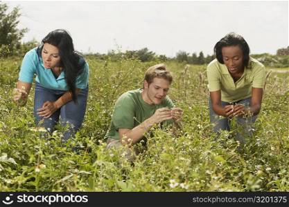 Young man and two young women picking flowers in a field