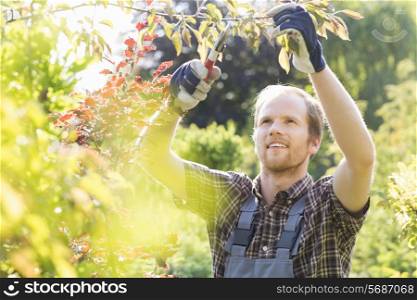 Young man cutting branch in garden