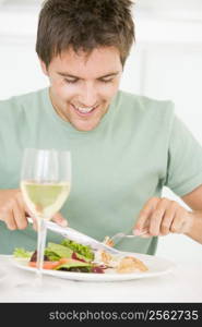 Young Man Enjoying meal,mealtime With A Glass Of Wine