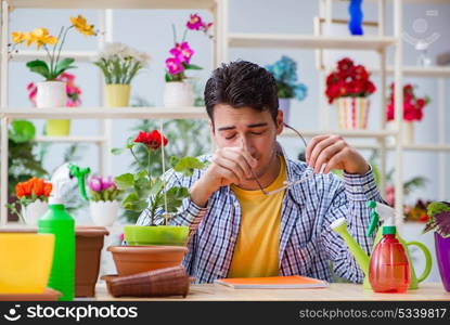 Young man florist working in a flower shop