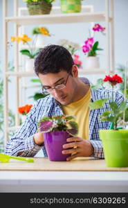 Young man florist working in a flower shop