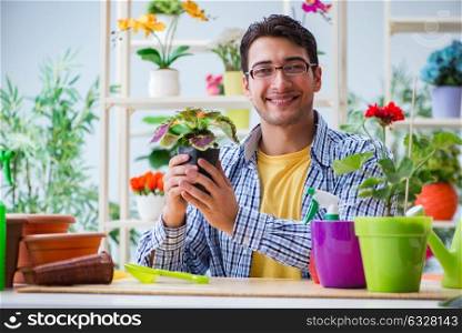 Young man florist working in a flower shop