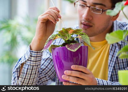 Young man florist working in a flower shop