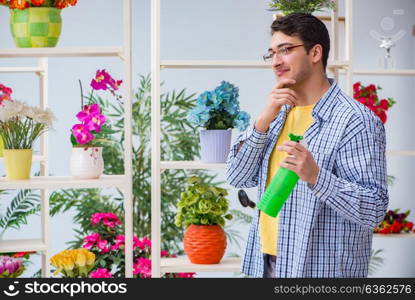 Young man florist working in a flower shop