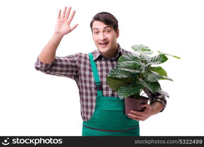 Young man gardener isolated on white