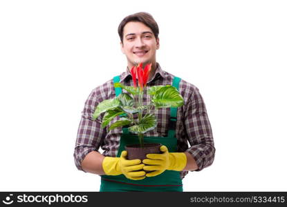 Young man gardener isolated on white