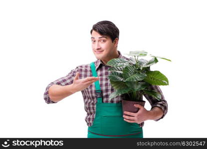 Young man gardener isolated on white