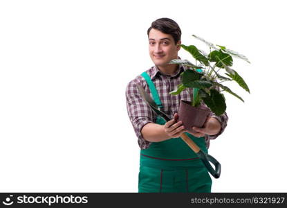 Young man gardener isolated on white