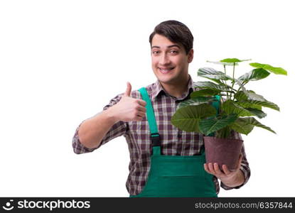 Young man gardener isolated on white