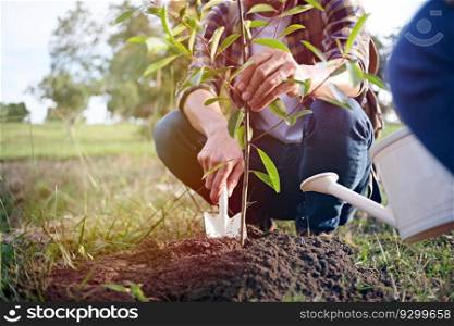 young man gardener, planting tree in garden, gardening and watering plants.