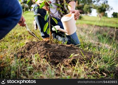 young man gardener, planting tree in garden, gardening and watering plants.