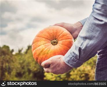 Young man in a denim shirt holding a ripe, yellow pumpkin on a background of green trees. Concept of harvesting and agriculture. Young man in a denim shirt holding a ripe pumpkin