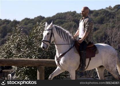 Young man in casual outfit riding white horse
