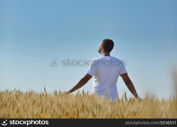 young man in wheat field representing success agriculture and freedom concept