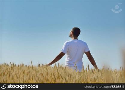 young man in wheat field representing success agriculture and freedom concept