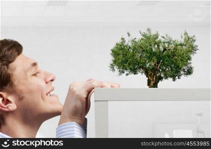 Young man looking from under table on green tree as growth concept. How to make your income grow