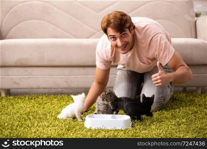 Young man playing with kitten at home. The young man playing with kitten at home