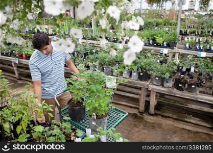 Young man standing with potted plants on cart
