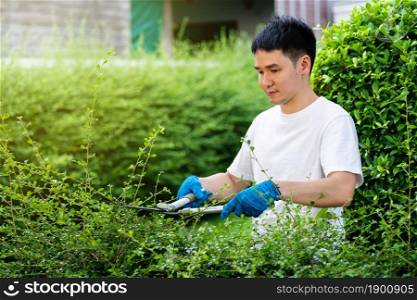 young man using big scissors cutting and trimming plant in garden at home