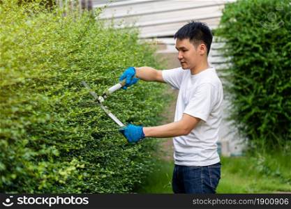 young man using big scissors cutting and trimming plant in garden at home