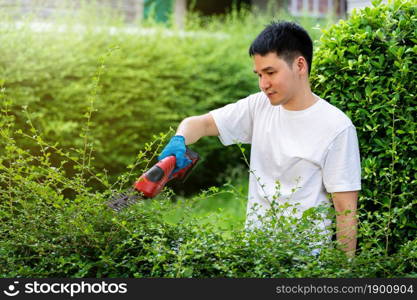 young man using cordless electric hedge cutting and trimming plant in garden at home