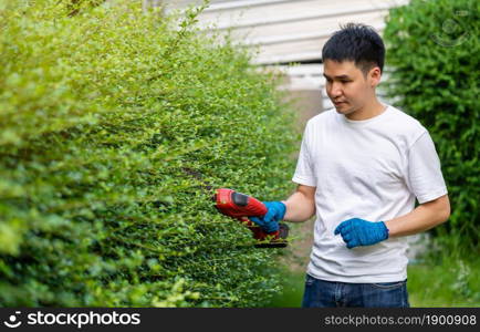 young man using cordless electric hedge cutting and trimming plant in garden at home