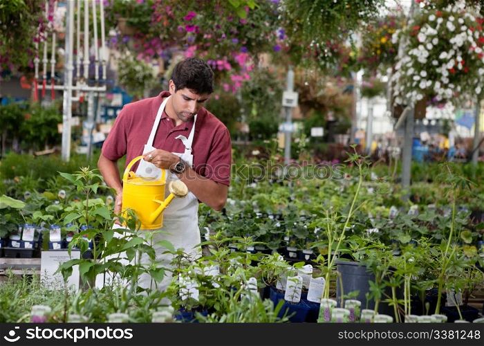 Young man watering plants in greenhouse