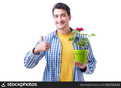 Young man with flower pot isolated on white