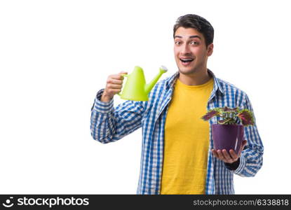 Young man with flower pot isolated on white