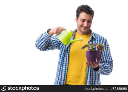 Young man with flower pot isolated on white