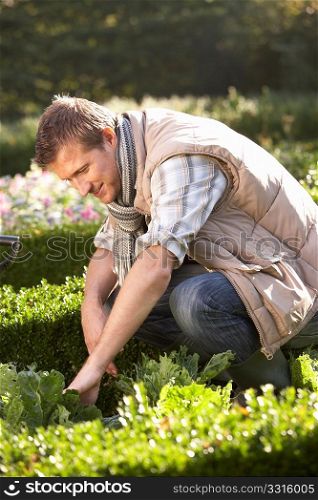 Young man working in garden