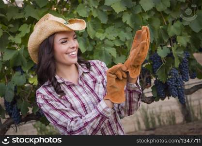 Young Mixed Race Adult Female Farmer Wearing Cowboy Hat and Putting on Gloves in Grape Vineyard.