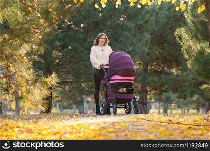 Young mother with a stroller walks in the autumn square