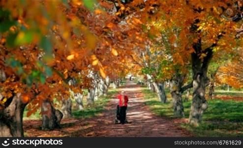 young mother with Baby stroller walking in autumn park