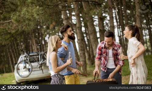 Young people enjoying barbecue party in the nature