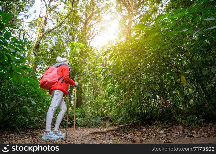 Young people walking on a hilltop in Doi Inthanon, Chiang Mai, Thailand