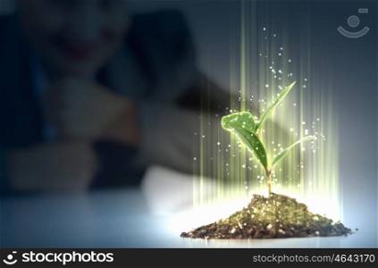 Young plant life process. Business and ecology concept. Rising young green sprout
