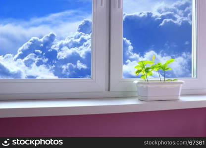 young plants of oaks on the window-sill and view to the cloudy sky. young plants of oaks on the window-sill of balkony and view to the cloudy sky. The young trees are ready to planting