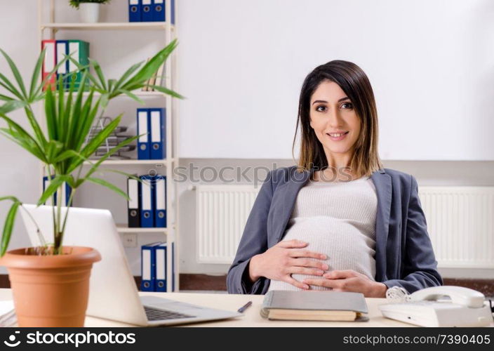 Young pregnant employee working in the office 