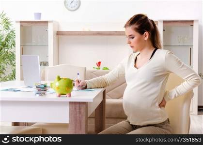 Young pregnant woman in budget planning concept 