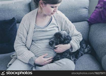 Young pregnant woman with her dog