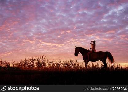 Young pretty woman riding a horse on the meadow