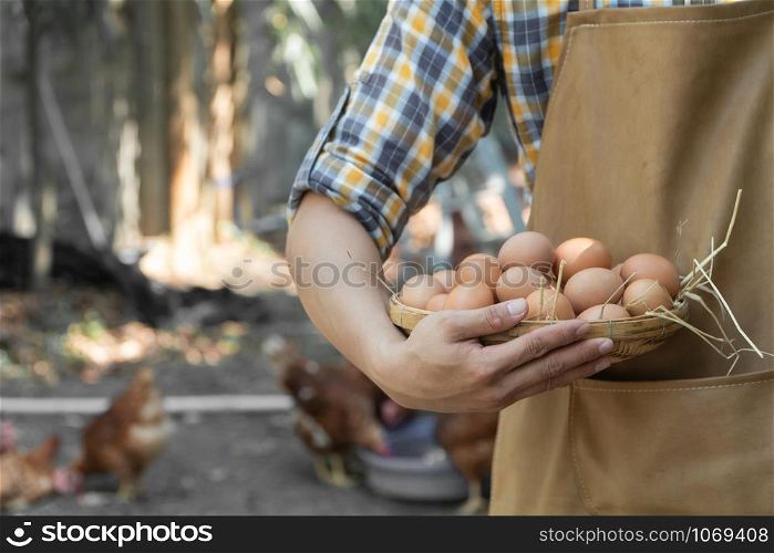 young smart farmer wear plaid long sleeve shirt brown apron are holding fresh chicken eggs into basket at a chicken farm in him home area