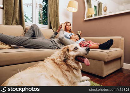 Young smiling heterosexual couple together on sofa with their dog using smartphone and drinking from a cup