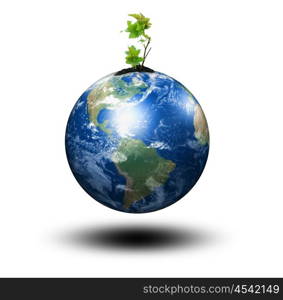 young sprout and our planet Earth