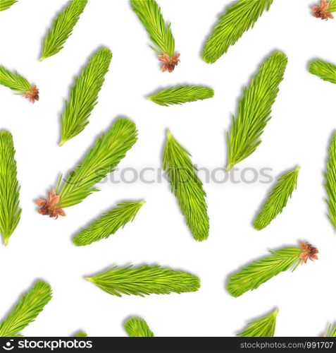 Young spruce branch isolated on white. Fir tree branch seamless pattern on white.. Young spruce branch isolated on white. Fir tree branch seamless pattern on white