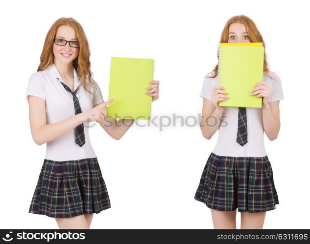 Young student isolated on the white. The young student isolated on the white