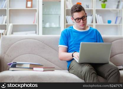 Young student preparing for exams studying at home on a sofa