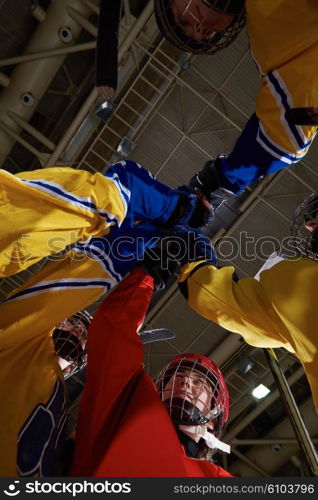 young teen girls ice hockey sport players portrait