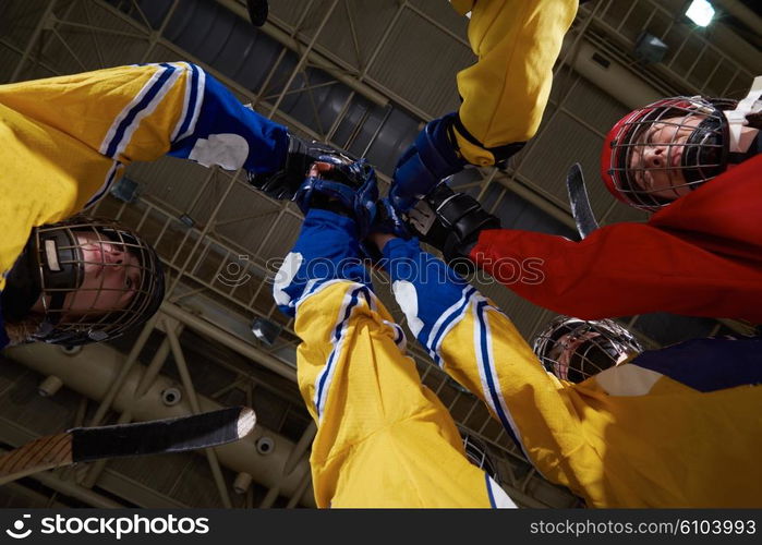 young teen girls ice hockey sport players portrait